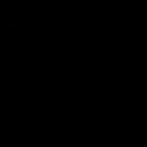 Meet your Posher, Damian